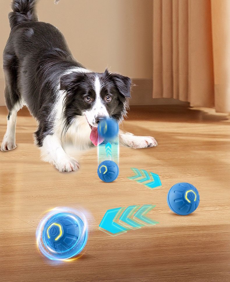 PetSmart Interactive™ - Pelota Inteligente para Mascotas